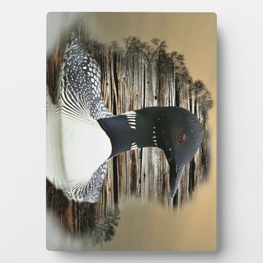 Plaque Photo Loon (Devant)