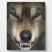 Plaque Photo Loup (Devant)