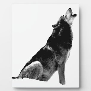 Plaque Photo Loup de Howling blanc noir