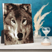 Plaque Photo Loup gris (Côté)