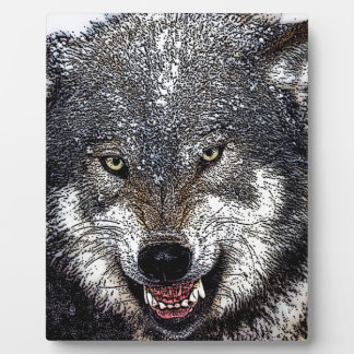 Plaque Photo Loup sauvage