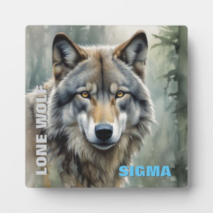 Plaque Photo Loup solitaire masculin de Sigma