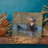 Plaque Photo Loupe de mer ensoleillée (Côté)