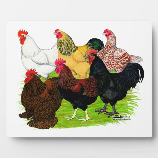 Plaque Photo Lourd ajout de coq (Devant)