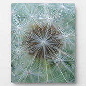 Plaque Photo Löwenzahnmuster (Devant)