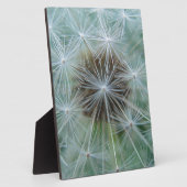 Plaque Photo Löwenzahnmuster (Côté)