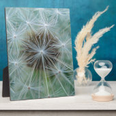 Plaque Photo Löwenzahnmuster (Côté)