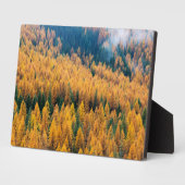 Plaque Photo Lumière du matin sur la plage | Île Tybee (Côté)