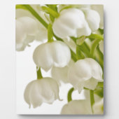 Plaque Photo Lys blancs (Devant)