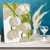 Plaque Photo Lys blancs (Côté)