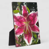 Plaque Photo Lys roses fleurs tropicales roses rose (Côté)