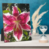 Plaque Photo Lys roses fleurs tropicales roses rose (Côté)