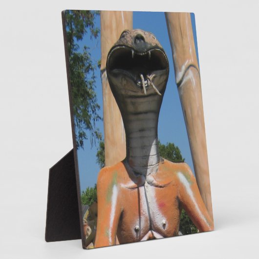 Plaque Photo M. Snake AKA Cobra Head ... Enfer bouddhiste (Côté)