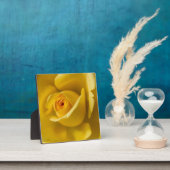 Plaque Photo Macro Rose jaune (Insitu)