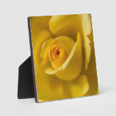 Plaque Photo Macro Rose jaune (Recto)