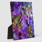 Plaque Photo Magenta Purple bleu jaune Hydrangeas fleurs (Côté)