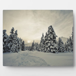 Plaque Photo Magie hivernale