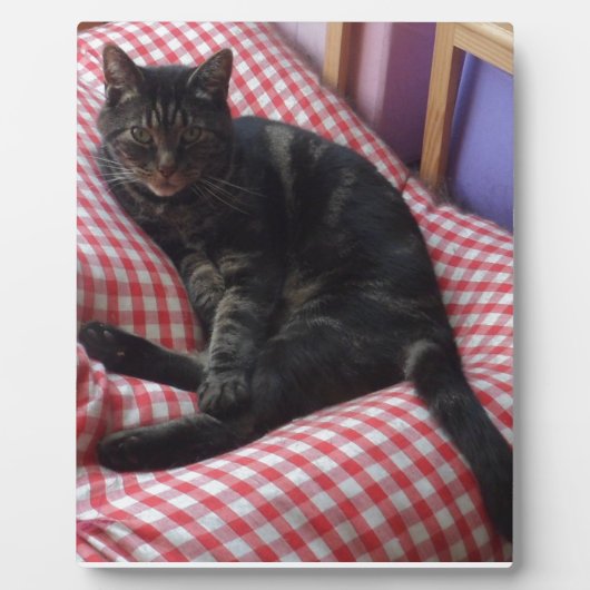 Plaque Photo Maître Dave (Devant)