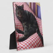 Plaque Photo Maître Dave (Côté)