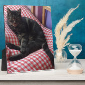 Plaque Photo Maître Dave (Côté)