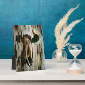 Plaque Photo Mallard Duck (Côté)