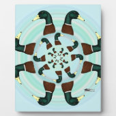 Plaque Photo Mallards Galore ! (Devant)