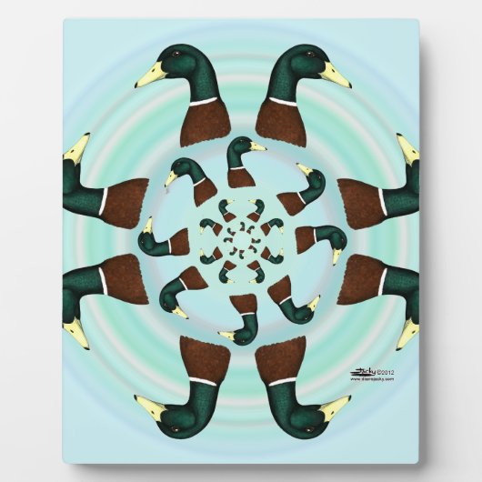 Plaque Photo Mallards Galore ! (Devant)