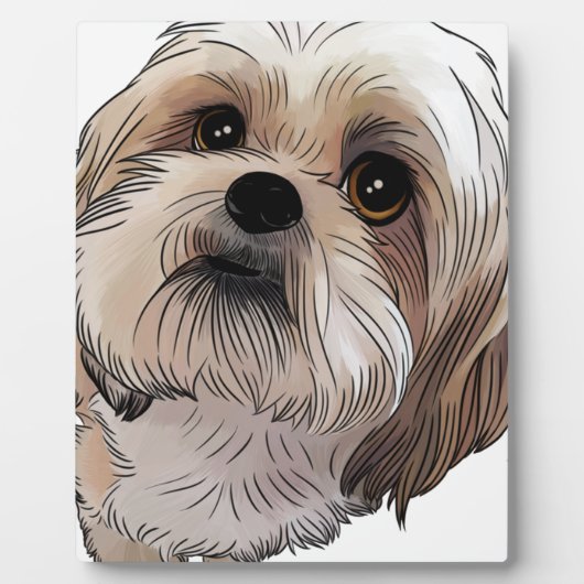 Plaque Photo Malshi Mal-shi (Devant)