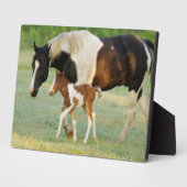 Plaque Photo Maman & Nouveau-né Paint Filly (Côté)