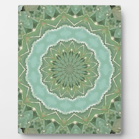 Plaque Photo Mandala Succulent (Devant)