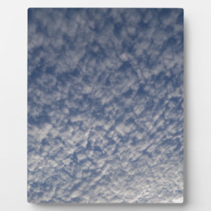 Plaque Photo maquereau