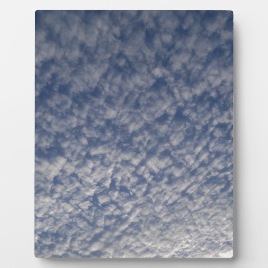 Plaque Photo maquereau (Devant)