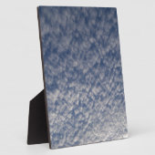 Plaque Photo maquereau (Côté)