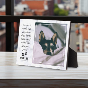 Plaque Photo Marbre Souvenir Perte d'Animal Photo de deuil d'an