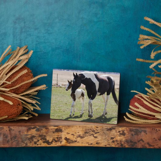 Plaque Photo Marche de Mare et Filly (Côté)