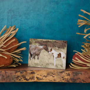 Plaque Photo Mare avec Colt