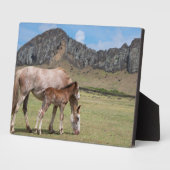 Plaque Photo Mare & Colt au cratère volcanique de Rano Raraku (Côté)