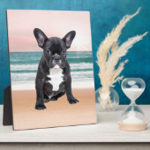 Plaque Photo Mare French Bulldog Beach Eau Soleil (Côté)