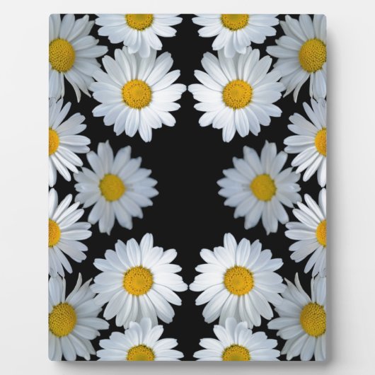 Plaque Photo marguerite noire des années 90 (Devant)