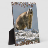 Plaque Photo Marmotte alpine dans cadre feuille (Côté)