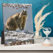 Plaque Photo Marmotte alpine dans cadre feuille (Côté)