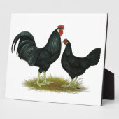 Plaque Photo Marsh Daisy Chickens (Côté)