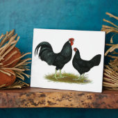 Plaque Photo Marsh Daisy Chickens (Côté)