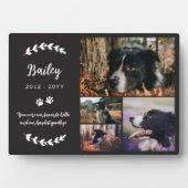 Plaque Photo Matte Black Paws & Greenery 4 Photos Pet Memorial (Devant)