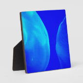 Plaque Photo Méduse (Recto)