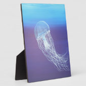 Plaque Photo Méduse (Côté)