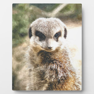 PLAQUE PHOTO MEERKAT