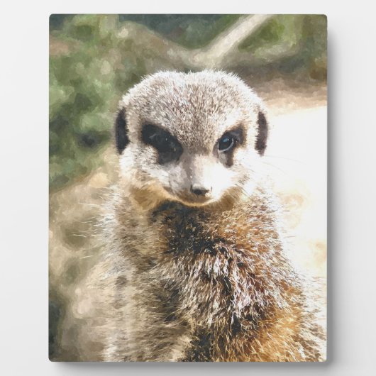 PLAQUE PHOTO MEERKAT (Devant)