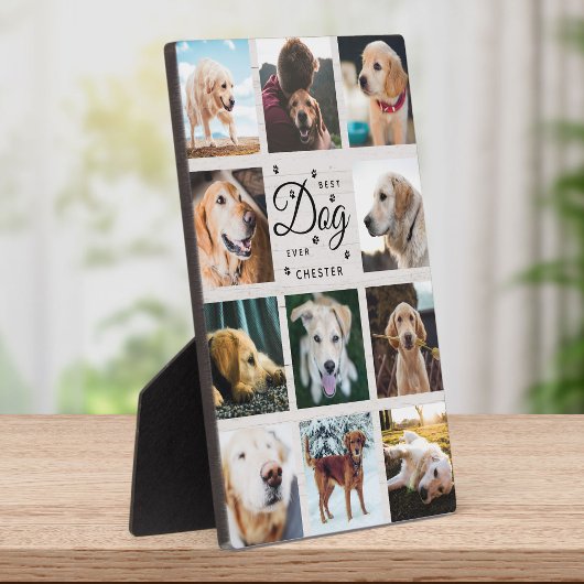 Plaque Photo Meilleure ferme de chiens jamais photo collage Pat