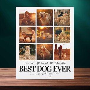 Plaque Photo Meilleure photo de chien